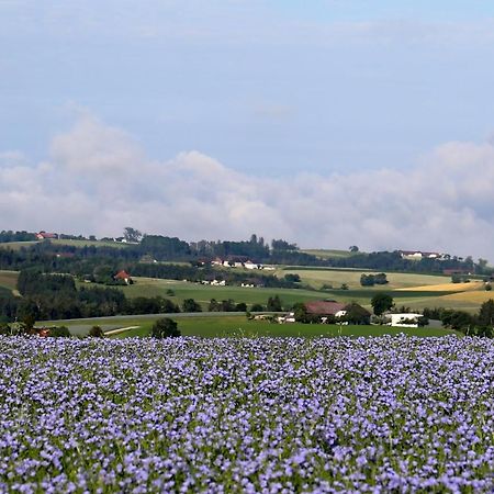 Ferienhof Neundlinger Niederwaldkirchen Экстерьер фото