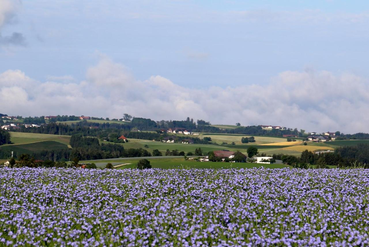 Ferienhof Neundlinger Niederwaldkirchen Экстерьер фото
